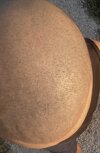 IMG_1545.jpeg
