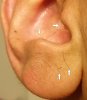 earlobe2.jpg