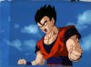 mystic_gohan_10.jpg