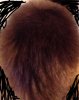 HairTop1.jpg