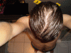 Combed Back 16042010.GIF