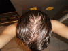 Combed Back 15052010.GIF