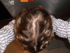 Crown 15052010.GIF