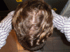Combed Back dry 15052010.GIF