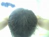 hair 006.jpg