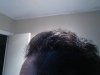 hair2.jpg