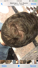 Hair 4.png