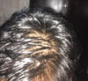 Top (dry hair) 1.jpg
