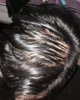 Top (wet with minoxidil) 1.jpg