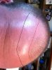 HairLines.jpg