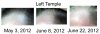 Left Temple.jpg