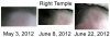 Right Temple.jpg