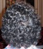 hair-back1.jpg hair-back1.jpg