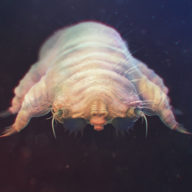 DemodexMitesExterminator