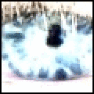 TheOliviaTremorControl