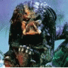 Predator
