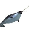 NarWhal7