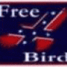 Free Bird