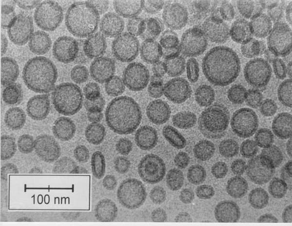 pc_liposome_cryo_scientia2.jpg