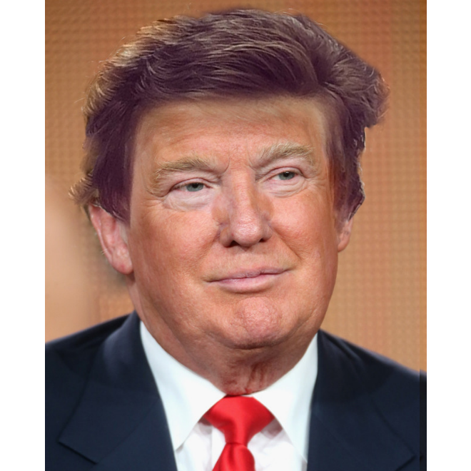 baby-hair-trump-article.png