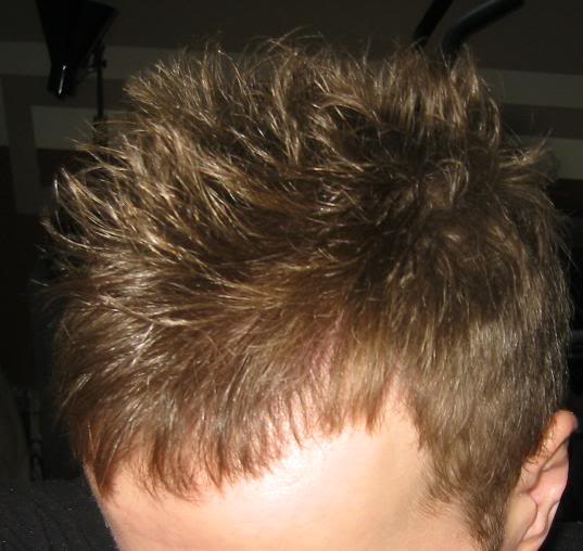 hairjanu2010.jpg