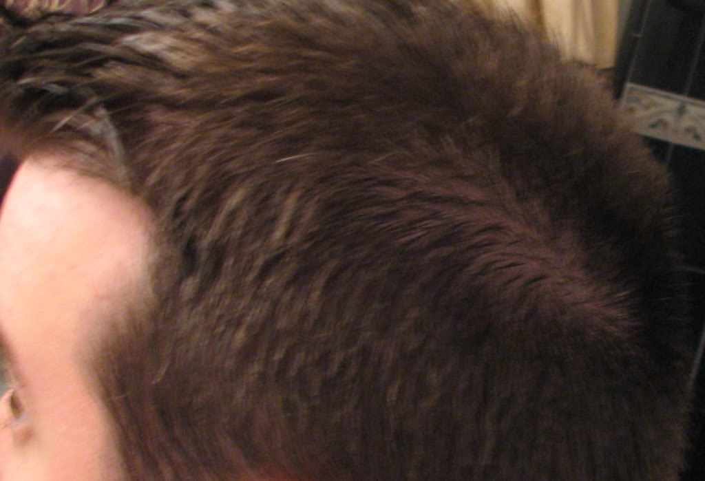 hair17.jpg