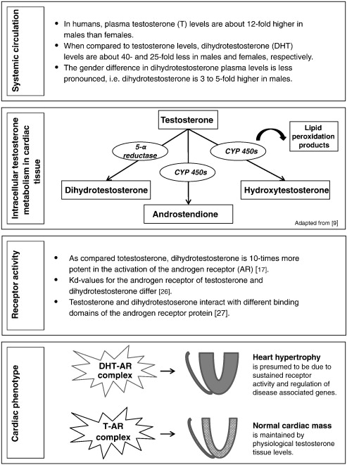www.internationaljournalofcardiology.com
