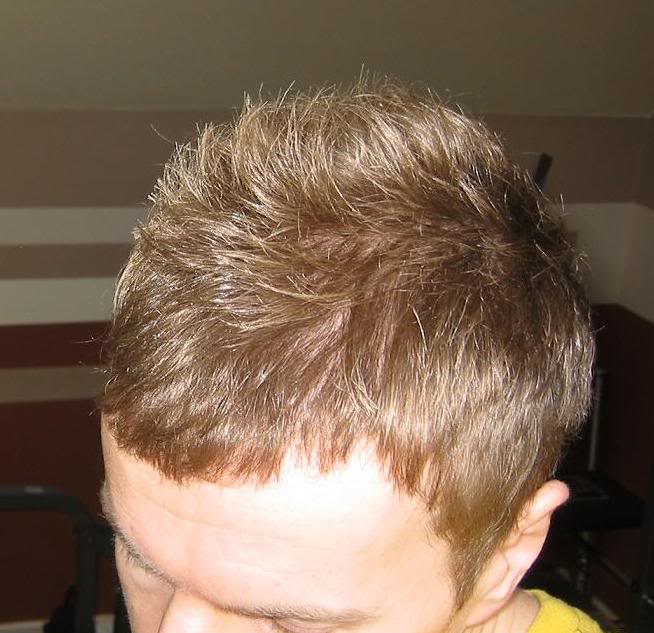 hairtopmarch09.jpg