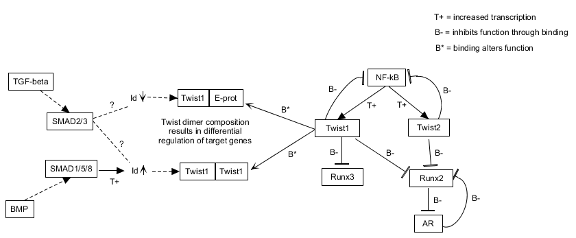mesenchymal_subnetwork.png
