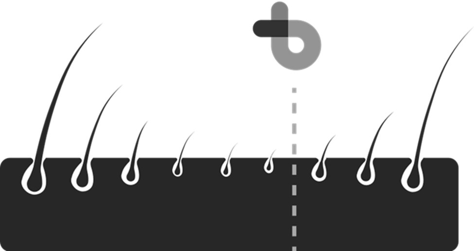 brightlandsventurepartners.com