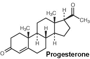 Progesterone.jpg