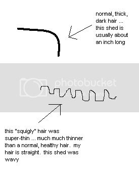 hairdiagram.jpg