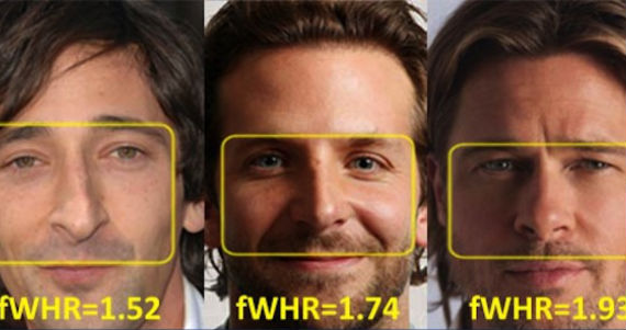 fwhr-ratio-face.jpg