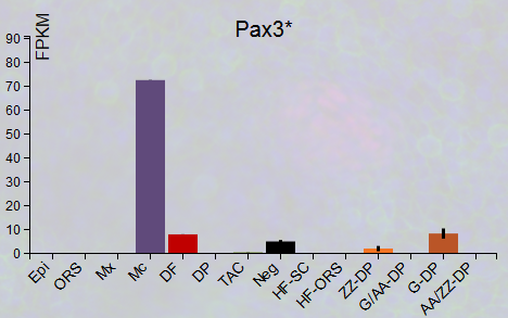 Pax3.png