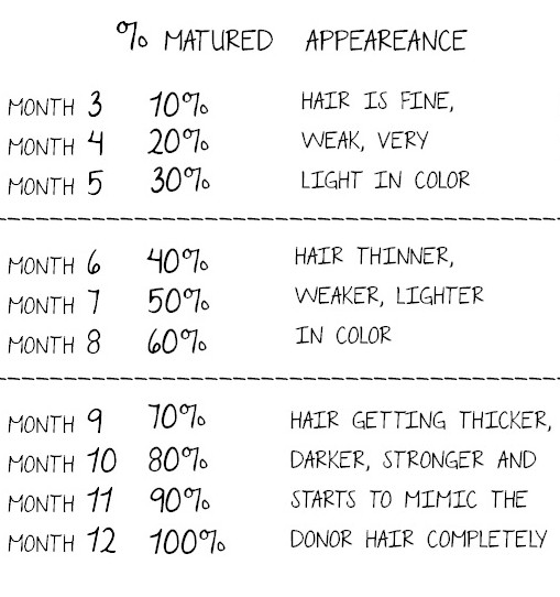 Hair Transplant Growth Timeline