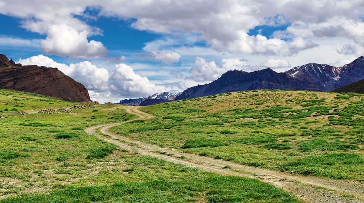 Can Rogaine Stop Hair Loss Long-Term?