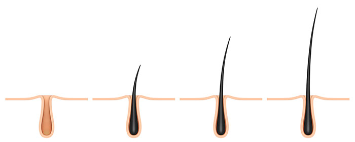 Spironolactone Hair Growth